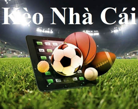 Sodo Casino Các mẹo chơi bài